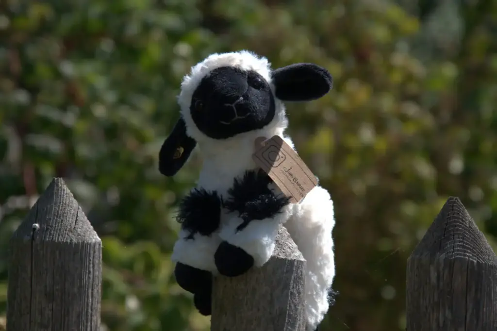 Plüschschaf - Walliser Schwarznase