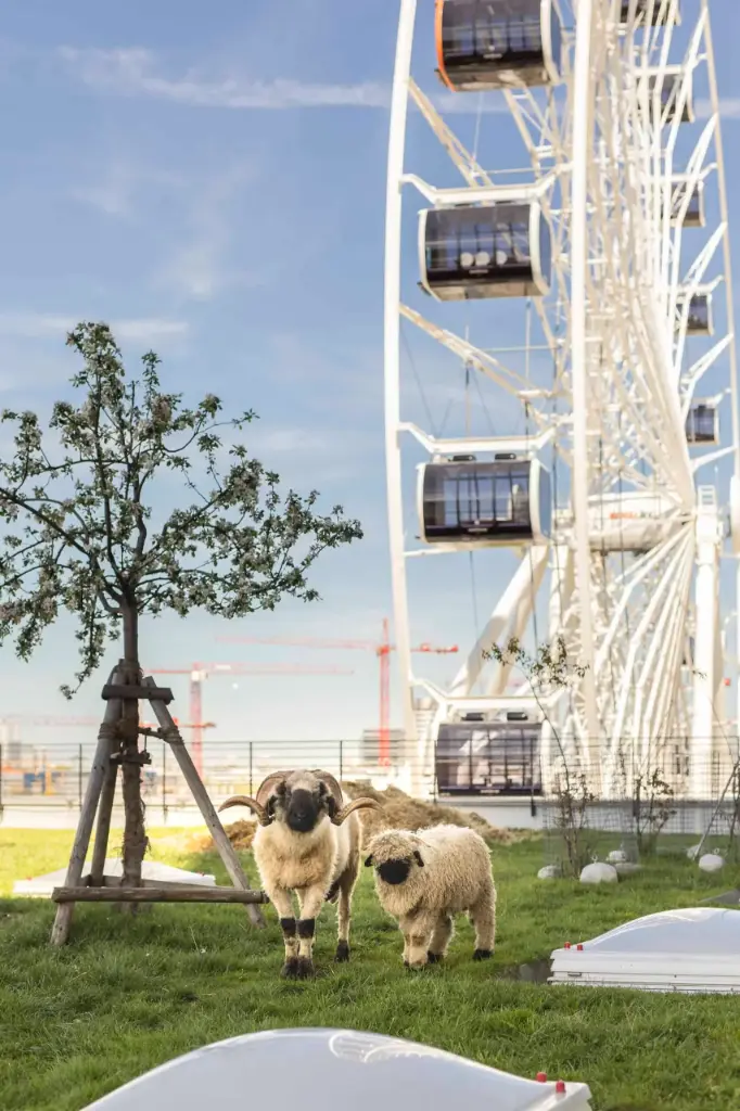 Patenschaft - Stadthochalm für Unternehmen 