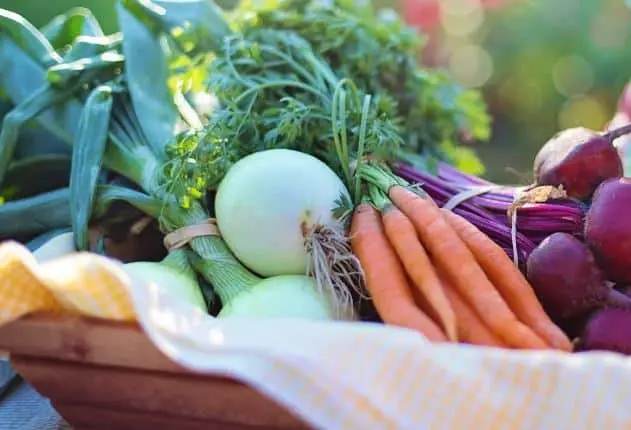 Schnuppergarten 10m²