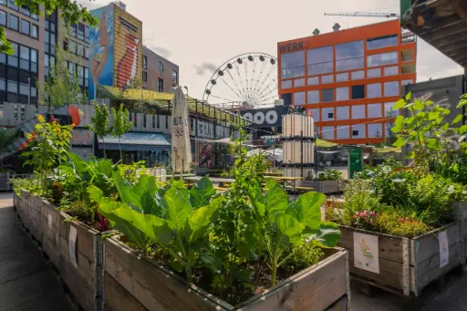 Gutschein "Werksviertel-Mitte Nachhaltigkeitstour inkl. Stadt-Hochalm"